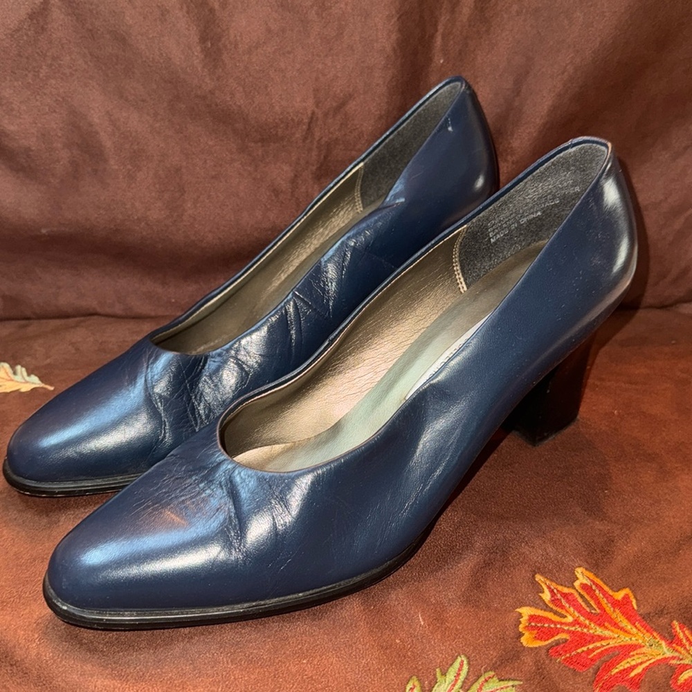 🐈⬛ Caressa Navy Blue Pumps - Size 9.5